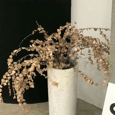 祥云FurryQQ群介绍